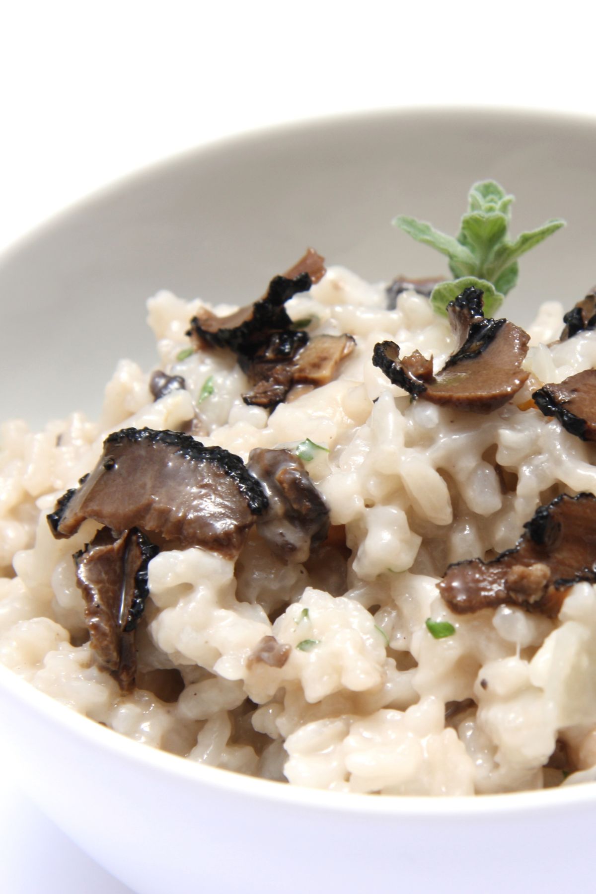 mushroom-truffle-risotto