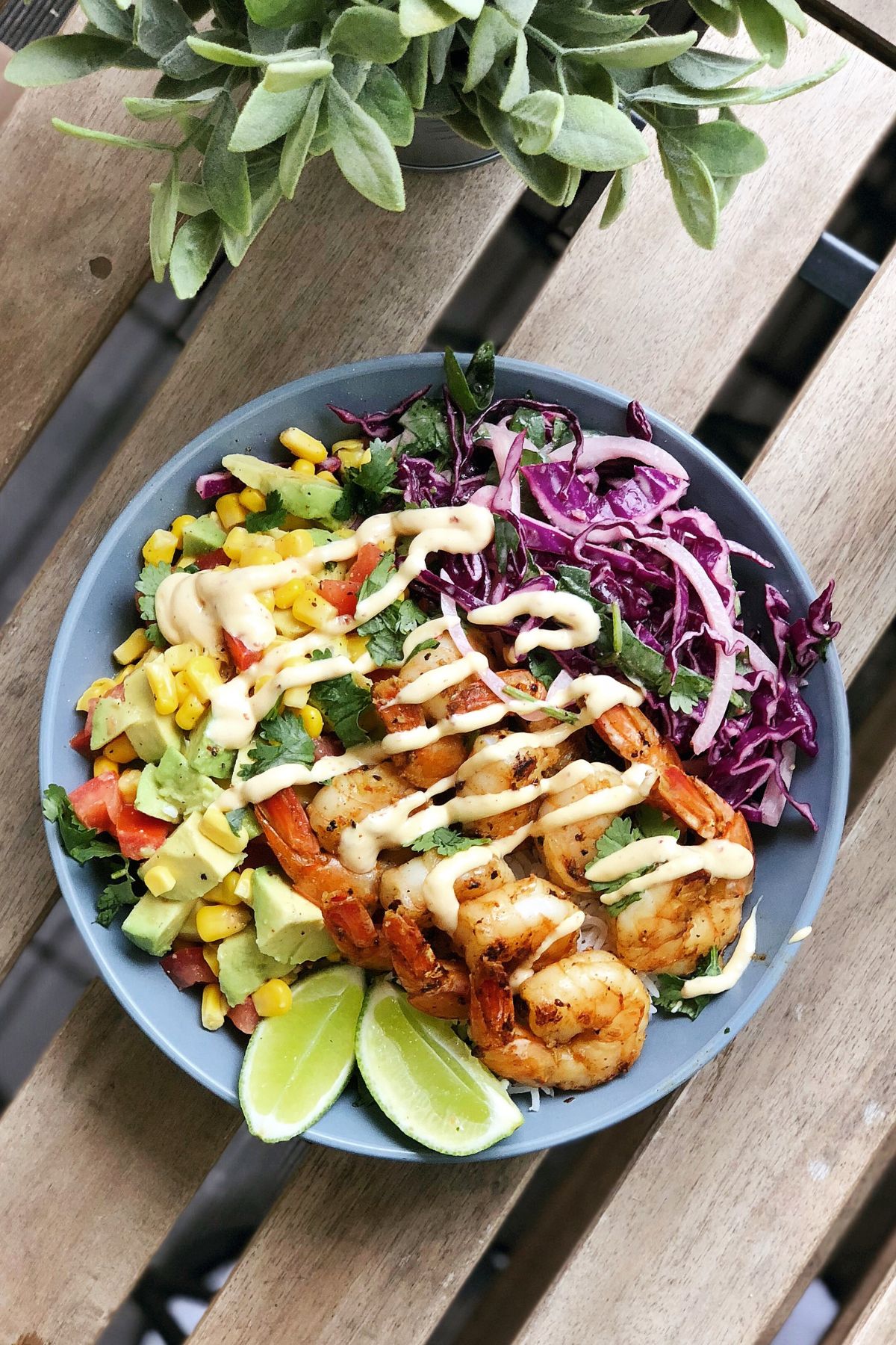 grilled shrimp salad